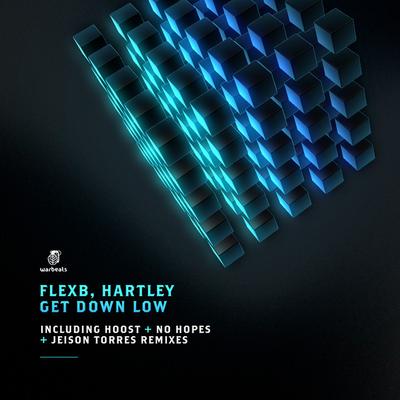 Get Down Low (No Hopes Remix) — FlexB — track cover art on Warbeats Records