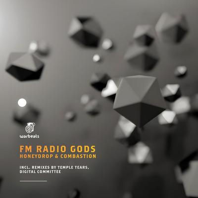 Combastion (Temple Tears Remix) — FM Radio Gods — track cover art on Warbeats Records