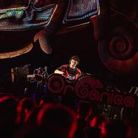 Flux Zone — artist on Warbeats Records